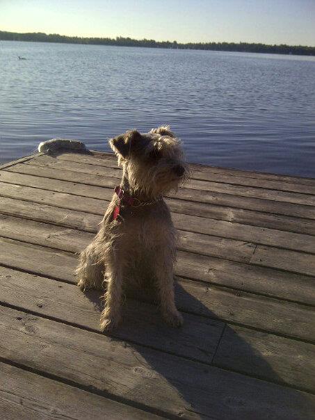 Steroids, High Tea, Easter, Medal Presentation, and Saying&nbsp;Goodbye